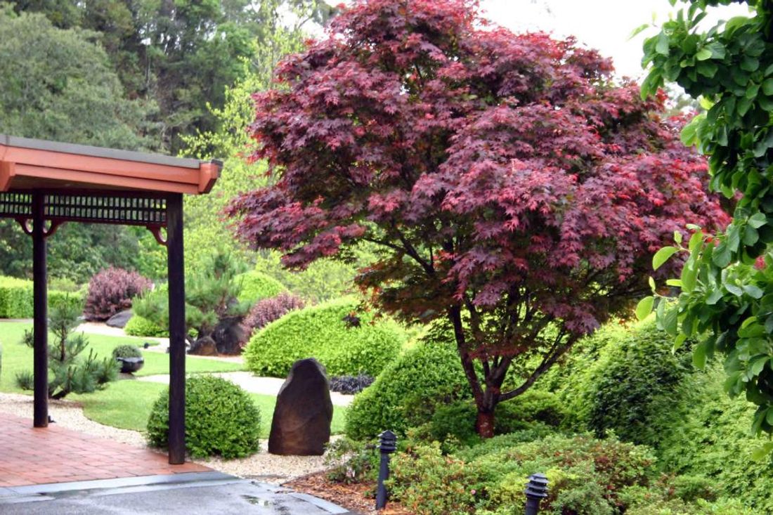 Autumn Landscaping Ideas Hipages au Autumn Landscaping Ideas Hipages au