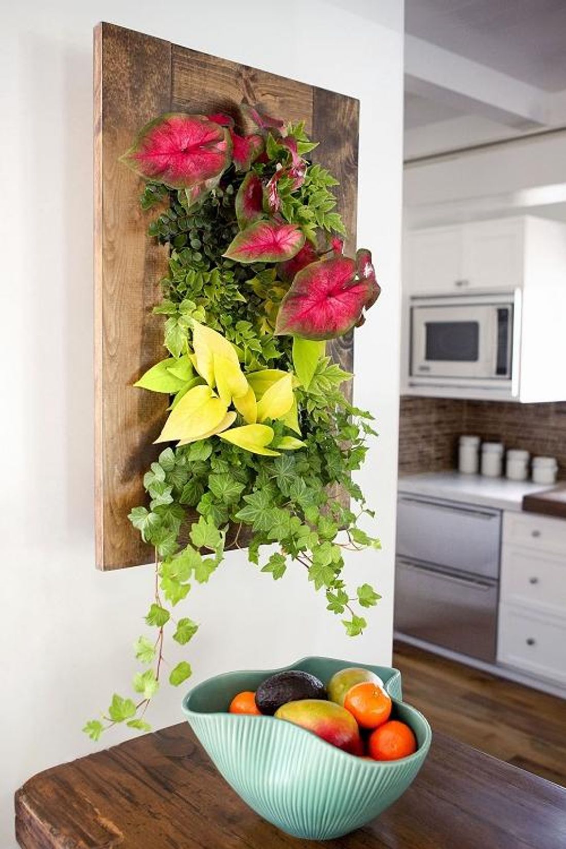 Creating a Vertical Garden for Small Spaces