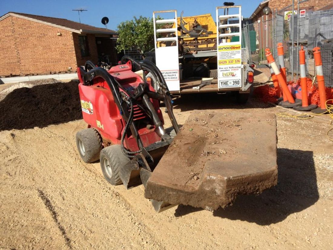 How Much Does Dingo Hire Cost?