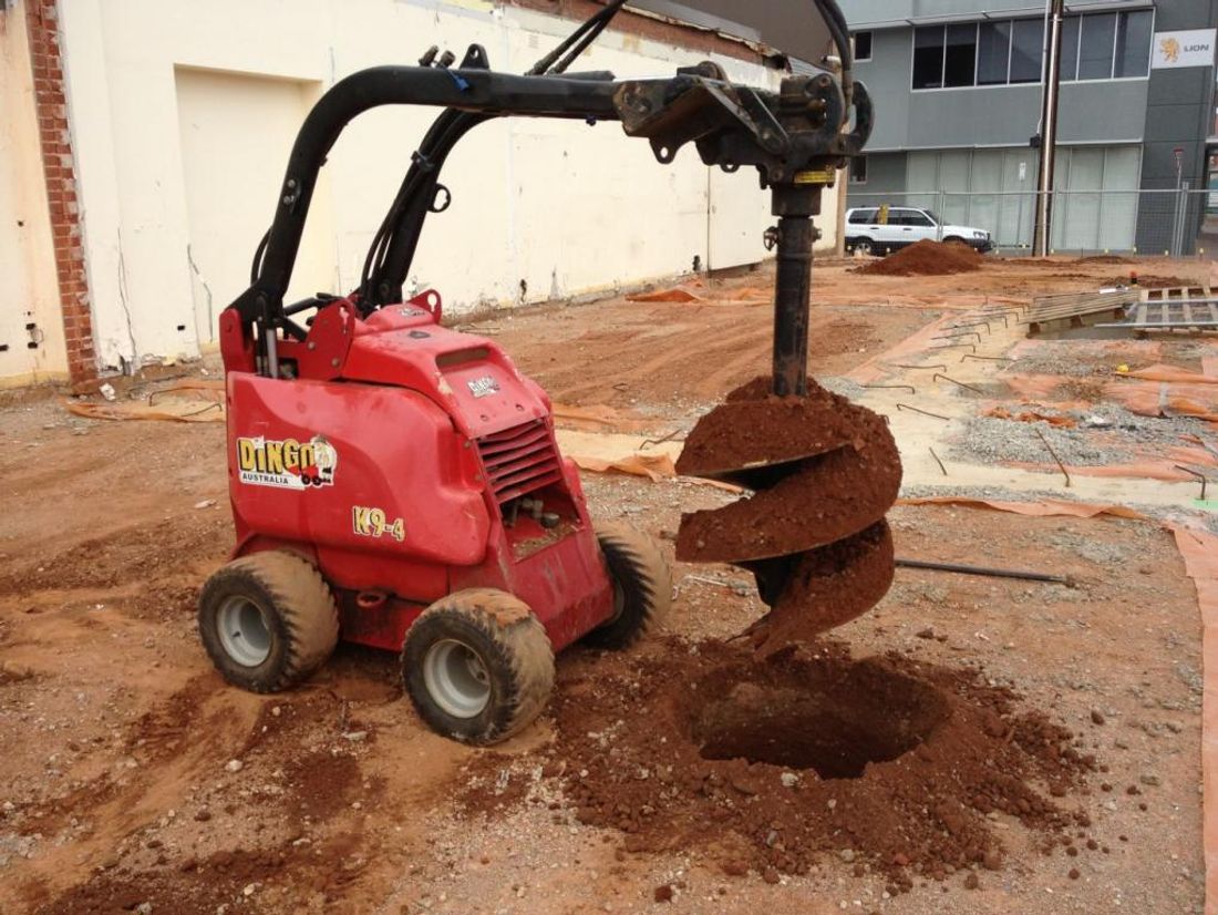 2020 How Much Does Dingo Hire Cost?