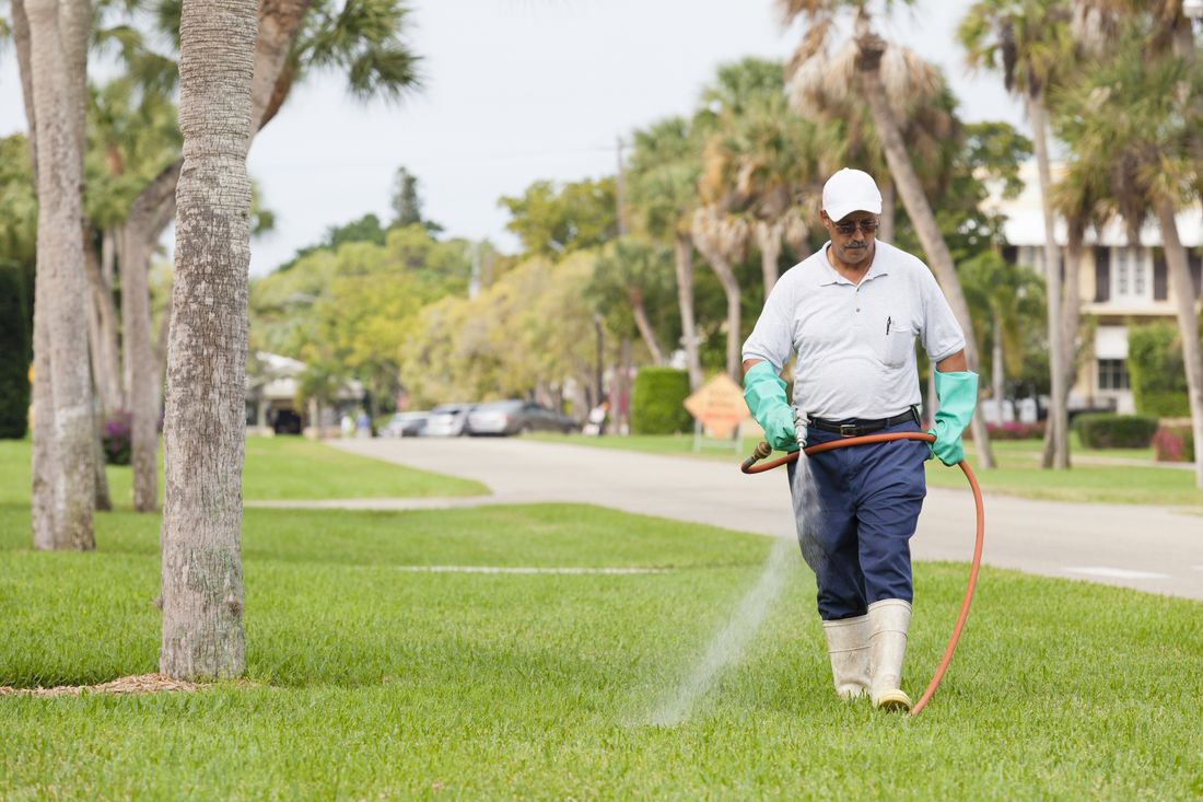 Unexpected summer pest encounters Summer pest control