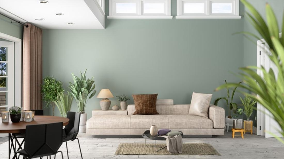 How to Paint a Rendered Wall - hipages
