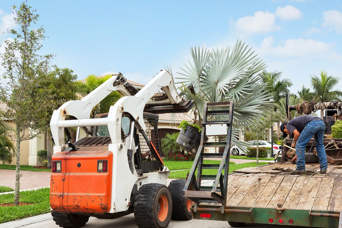 Tree planting and transplanting