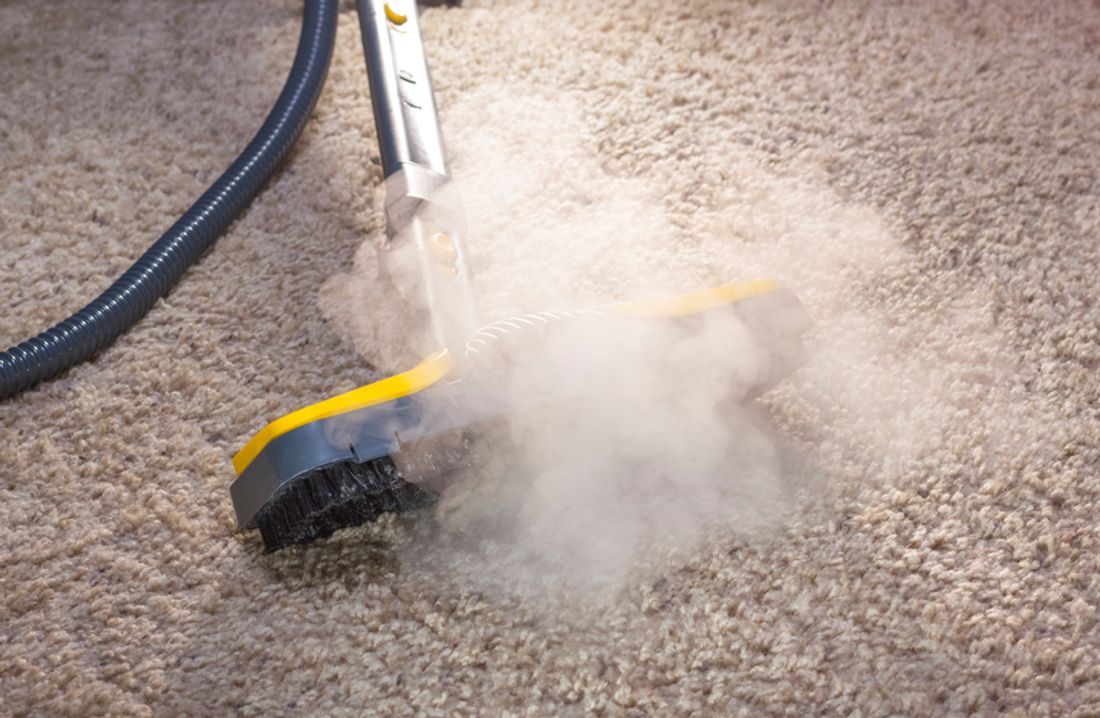 Carpet steam cleaning cost