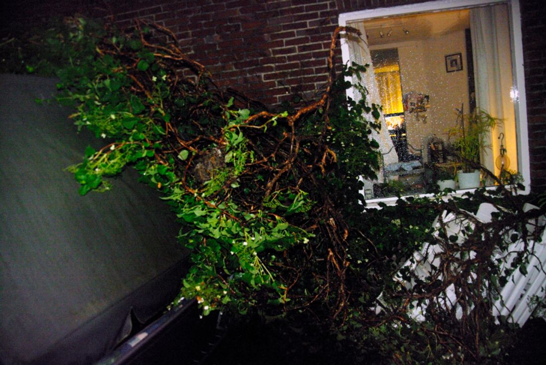 Storm damage is often the cause of window breakages.