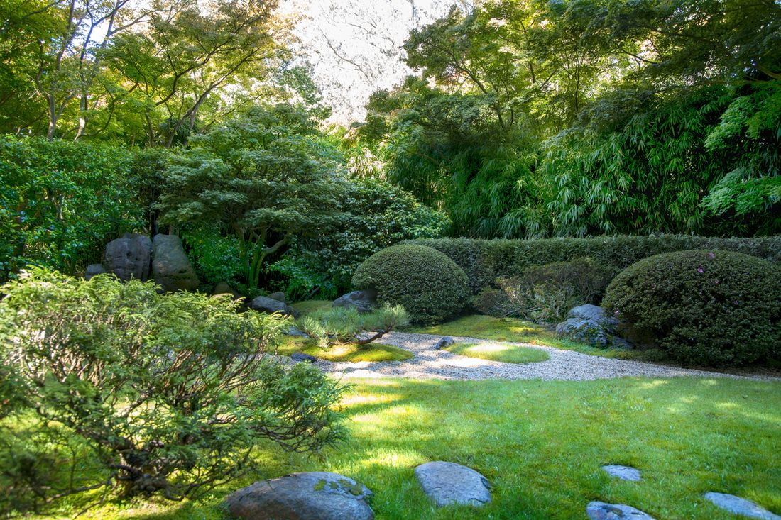 8 garden themes to consider for your home