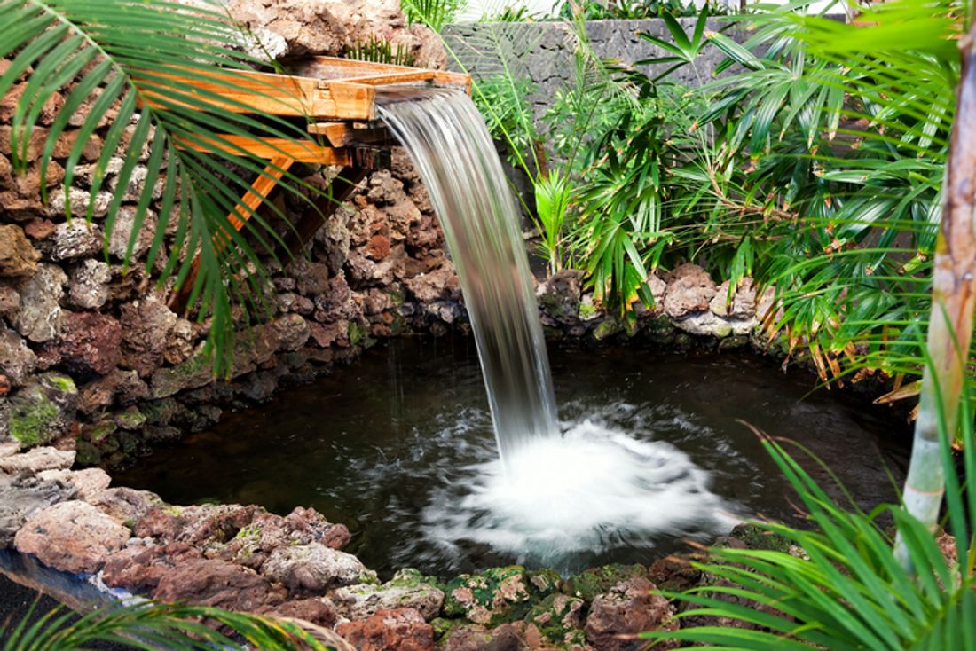 How to make a pond in the yard with your own hands for 1 day How to make a pond in the yard with your own hands for 1 day