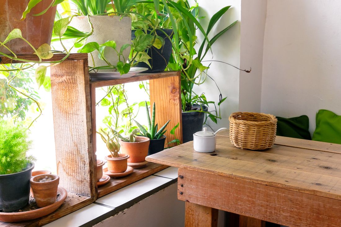 Lighting for indoor gardening