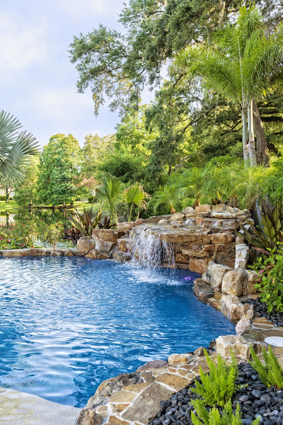 Creating A Tropical Backyard Hipagescomau