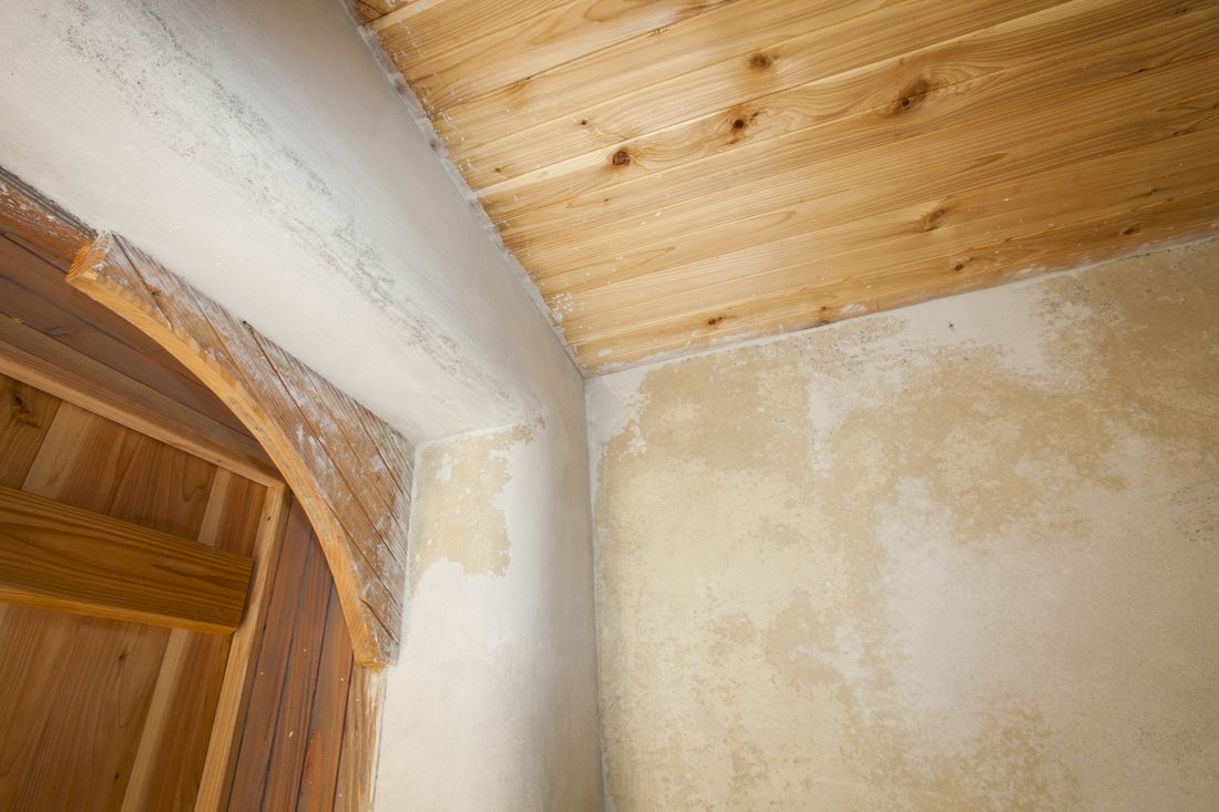 Plaster Information and Costs