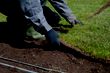 Installing turf in the backyard