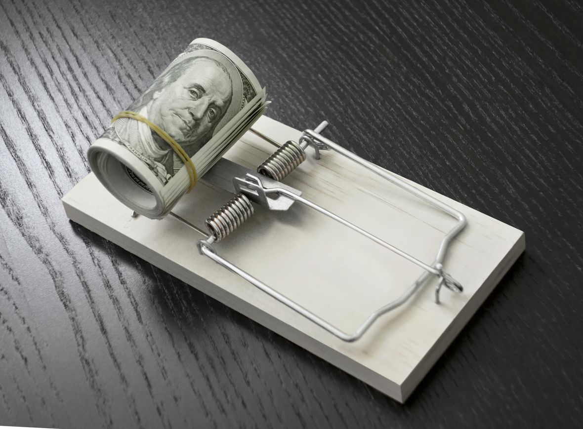 How does pest control work and what does it do?