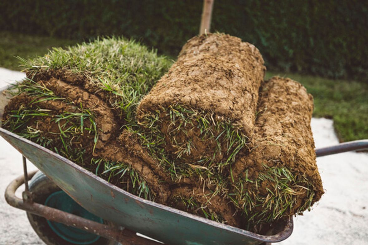 How Much Does Turf Cost? [2024]