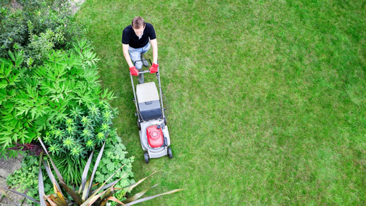 How Much Does Lawn Mowing Cost? [2024]