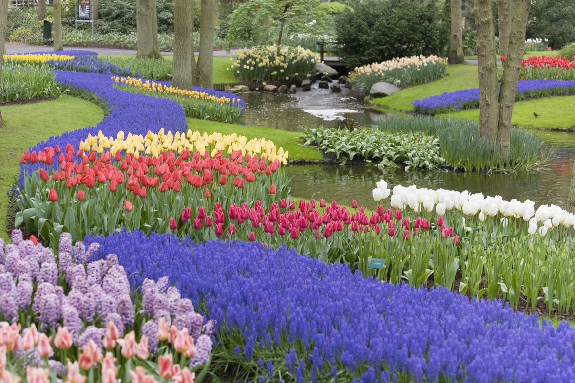 Top 10 Gardens from Around the World