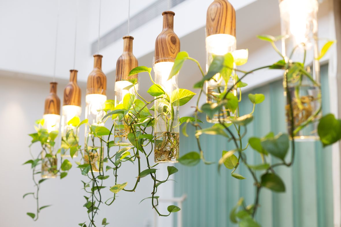 Lighting for indoor gardening