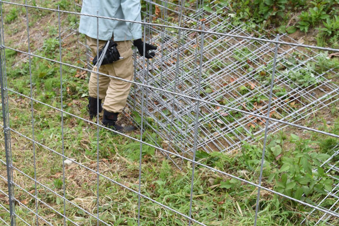 How Much Does Wire Fencing Cost? [2024]