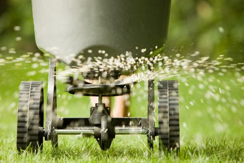 2020 How Much Does Lawn Mowing Cost? - hipages.com.au