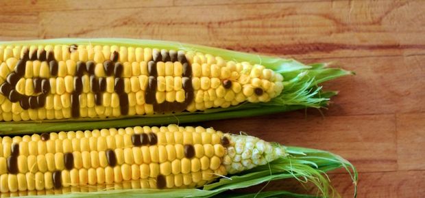 Food Additives