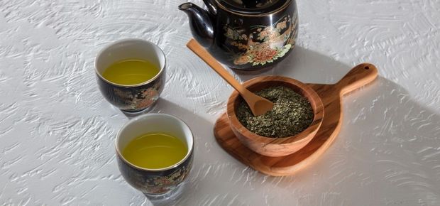 Herbal Medicine