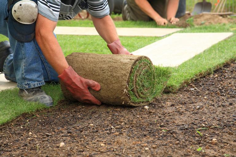 2020 How Much Do Gardening Services Cost Hipages au