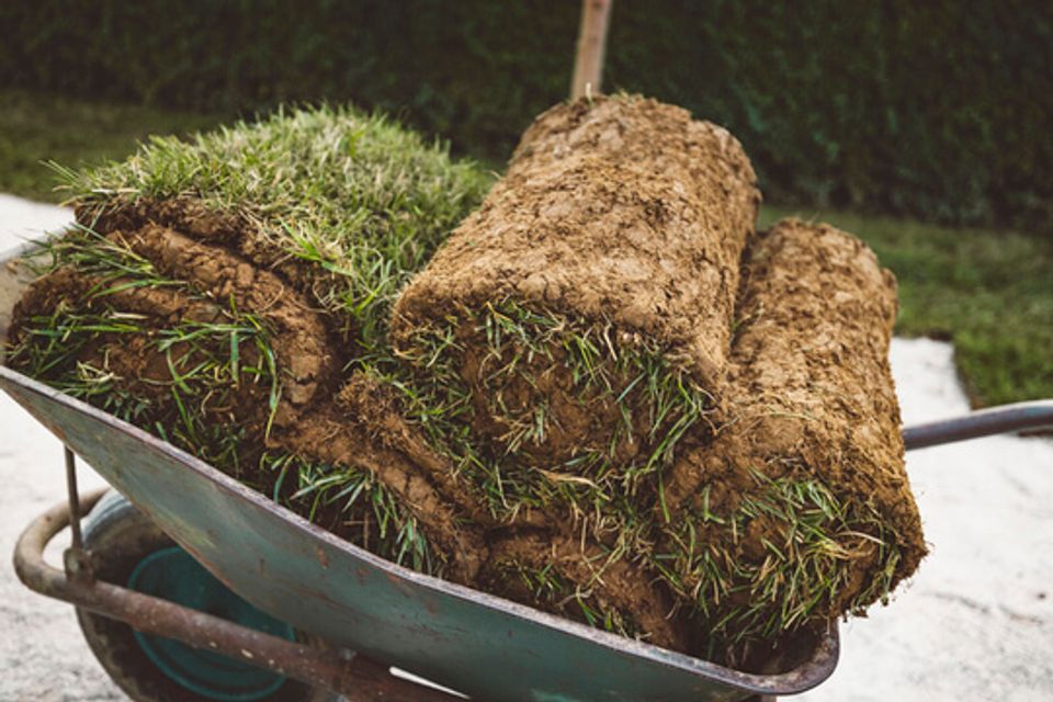 How Much Does Turf Cost? [2024]