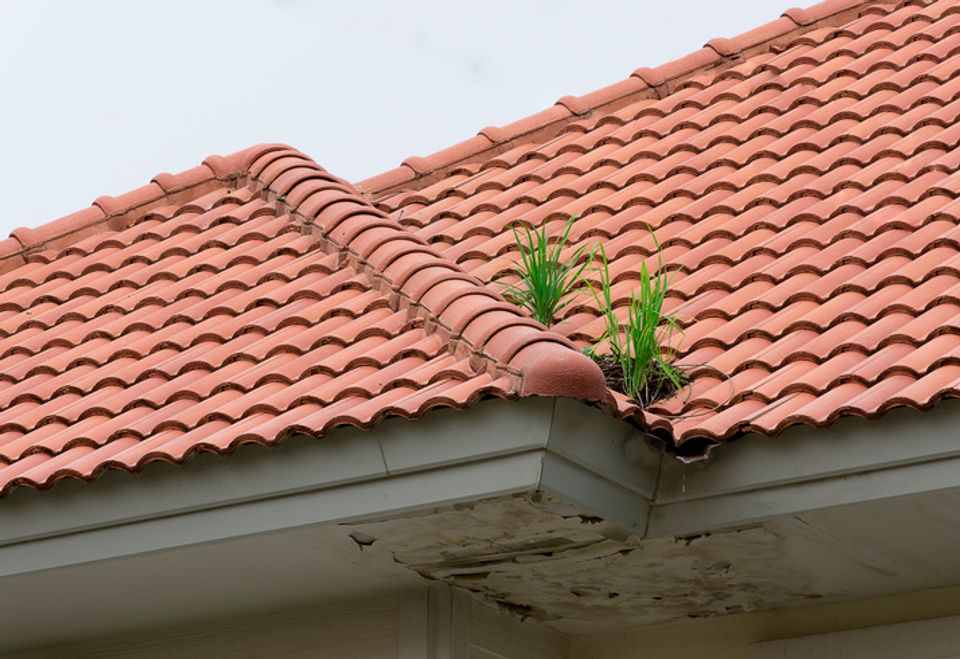 How much does roof restoration cost? [2024]