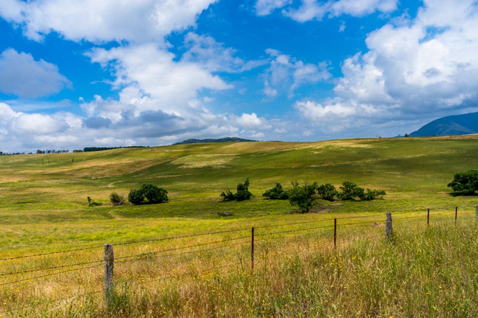 How Much Does Rural Fencing Cost? [2024]