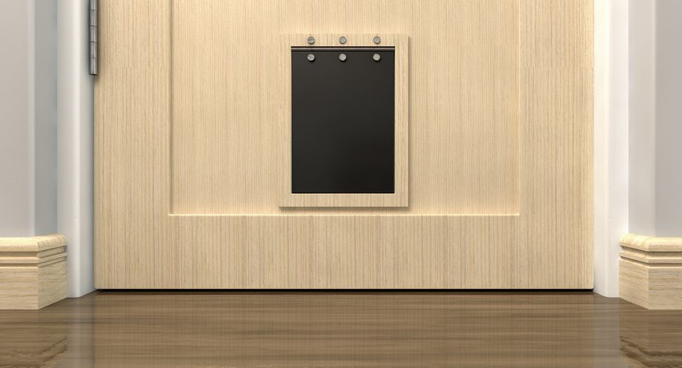 How Much Does it Cost to Install a Doggy Door? [2024]